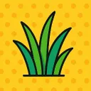 道草