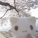 𐔌  .  k1txore  !  ୧ Banner