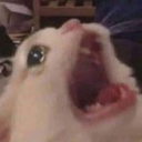 INVASION SURVIVORS Discord server icon