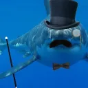 🍋🦈
