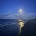 Bov's Islands: After Hours (20+)