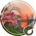 Bov's Islands: After Hours (20+) Discord Server Icon