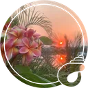Bov's Islands: After Hours (20+)