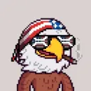 The Patriots