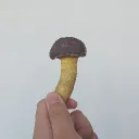 まきしまむ密会所