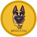 Broccolicoin