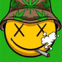 the chronic