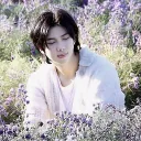 ౨౿   ⁺　jincredible ！！ ༄　bts　༝    kpop 　༝  study　༝   dcr