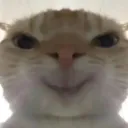 BlaziFy's Kittens