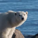Climate Alliance 2025