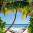 Palms Place