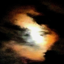 룩룩이 당근밭 🥕🥕🥕 Discord server icon