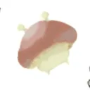 れもぴえ魚青
