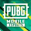 PUBG MOBILE South Asia Esports