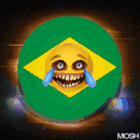 R.E.P.O. BRASIL
