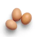 Egg Fan Club