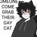 The Femboy Faction :3 (13-16 only‼)