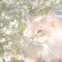 ♡꒦꒷⊹ 𝓛𝓸𝓿𝓮𝓵𝔂 ೃ࿔ᝰ  ꙳