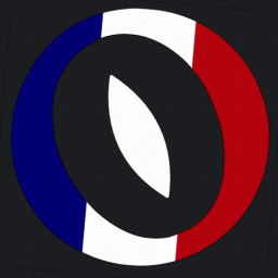 Discovery icon for Fellowship France Discord server