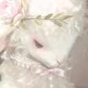 ˚⋆𐙚｡𝐋𝘂𝗻𝗻𝗶𝗲𝘀‧₊˚ ♡ ˎˊ˗