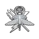 Regimental Reconnaissance Co.