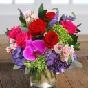 Dating and Hangouts's icon