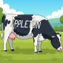 Appleton Area Discord