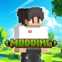 ZeroXXII Modding