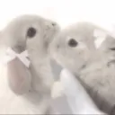 𓊆ྀི৴𝒃ᵘ𐓣𝒾𝘲𝓊ꫀ