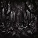Darkhaven Forest