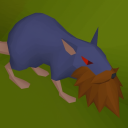 Lost Citizens avatar