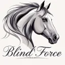 Blind Force OS