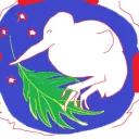 VITA BREVIS