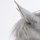 𓂃 🤍﹒𐑞 /unicorns ︶ ⟢﹒DJ2L Discord server icon