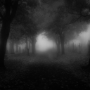 ૮₍ ´ ꒳ `₎ა ﹒𝓟ARADISE  ♟ Discord server icon