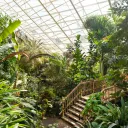 peaceful gardenn