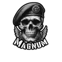 💀MAGNUM💀