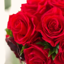 薔薇の城の戦士たち(BL本原稿戦士達のための作業通話部屋)