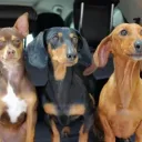 no me mires no me mires