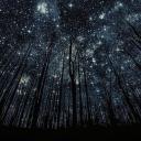 •✩ Starclan's Whispers│Gen 0