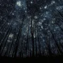 •✩ Starclan's Whispers│Gen 0