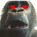 Hyper's Chimpire