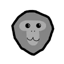 Pizza Dev Hub