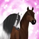 𝐅𝐥𝐨𝐰𝐞𝐫 𝐊𝐢𝐭𝐭𝐞𝐧𝐬 ꕥ 𝐎𝐏𝐄𝐍
