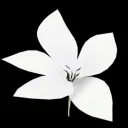 ༺𝐏𝐀𝐓𝐇 𝐓𝐎 𝐑𝐈𝐕𝐀𝐋𝐒༻ discord icon