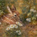 ୨୧◞ Fawn Hollow ˚˖𓍢ִ໋`🌿:✧˚
