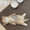 /escaped