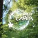SHINING SVS