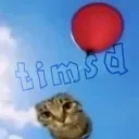 tismd