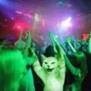 GatoServer
